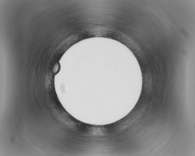 X0000110740073200907271110