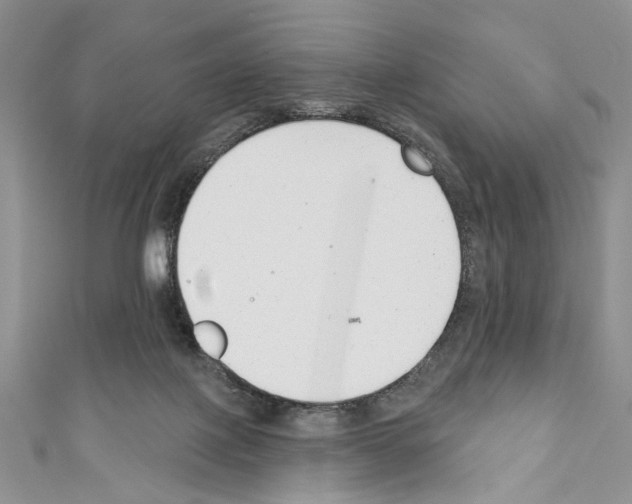 X0000110740075200907271110
