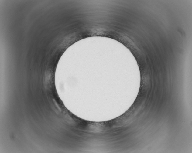 X0000110740079200907271110
