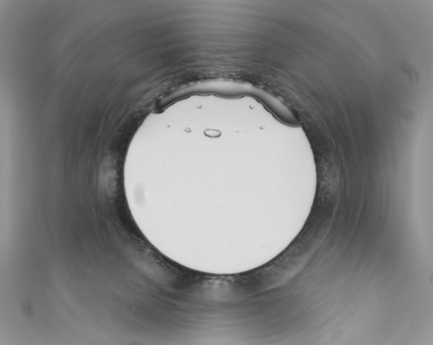 X0000110740080200907271111