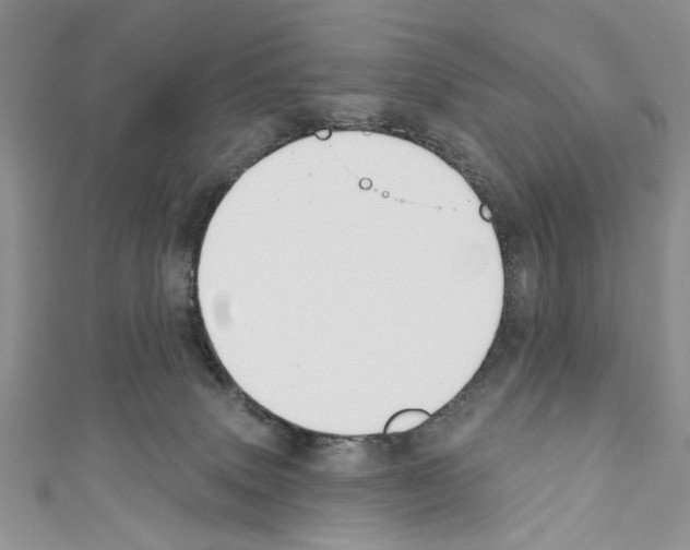 X0000110740083200907271111