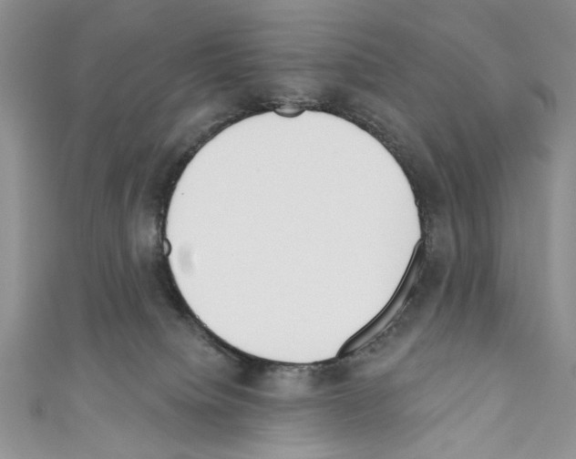X0000110740084200907271111