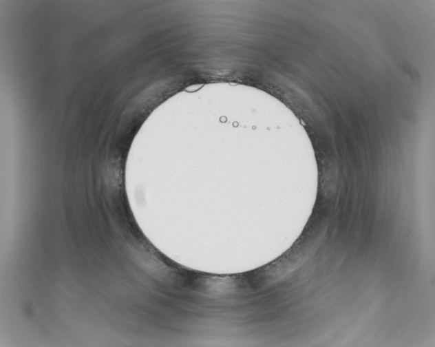 X0000110740085200907271111