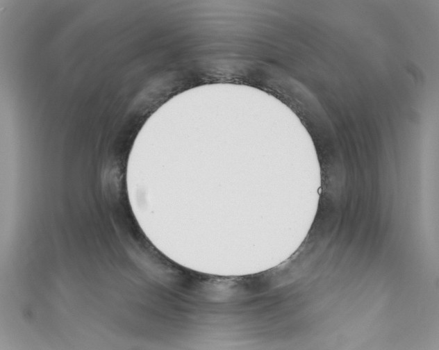 X0000110740086200907271111