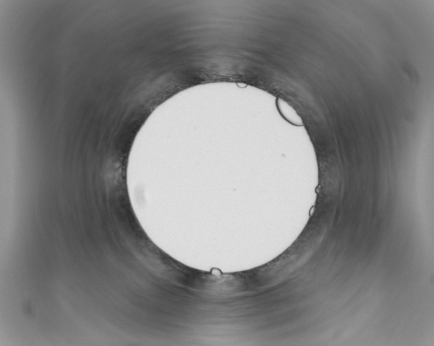 X0000110740087200907271111