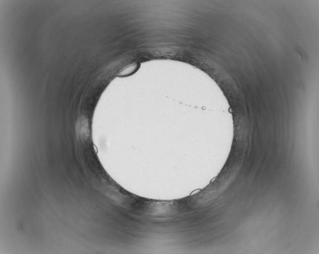 X0000110740089200907271111