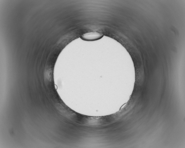X0000110740090200907271111