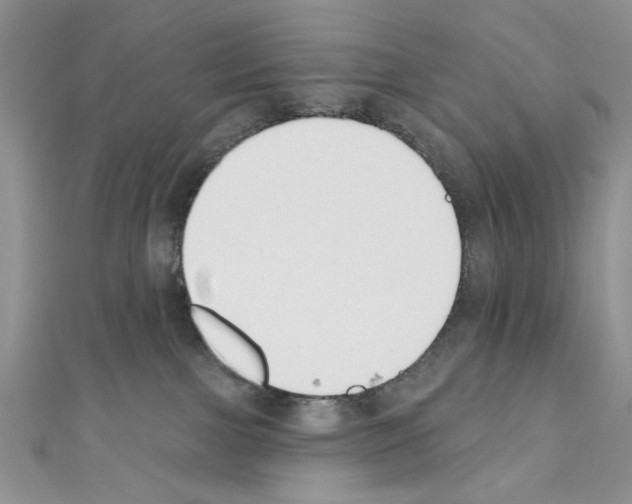 X0000110740091200907271111