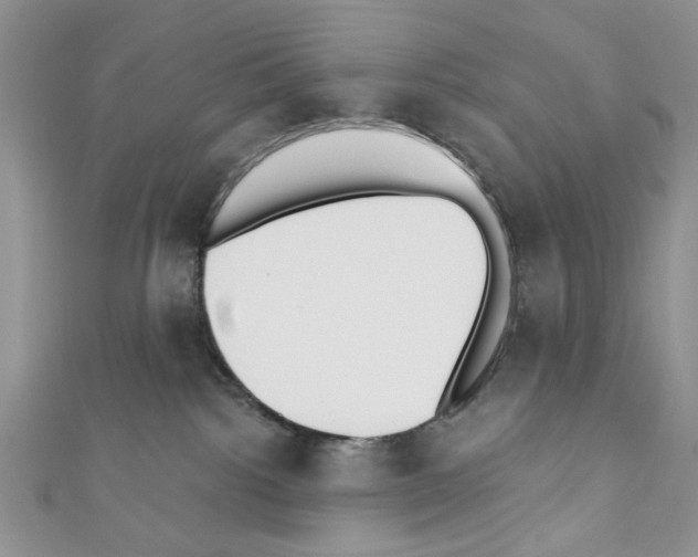 X0000110740092200907271111