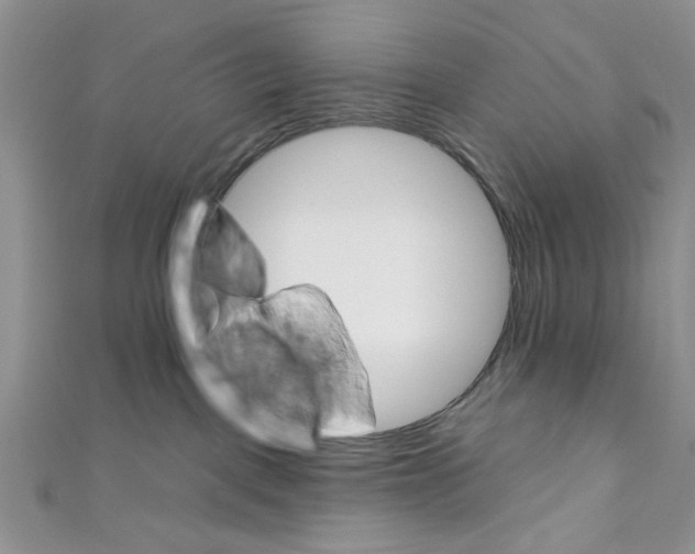 X0000110740093200907271111