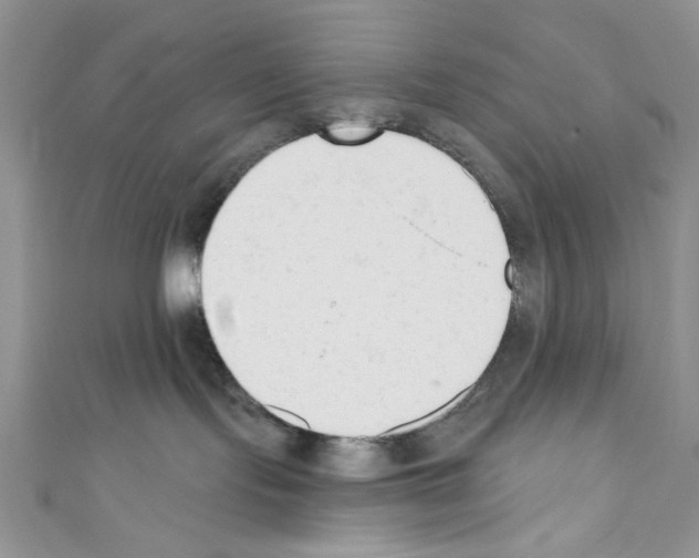 X0000110740095200907271111
