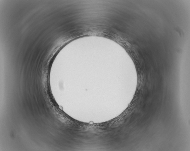 X0000110740098200907271110