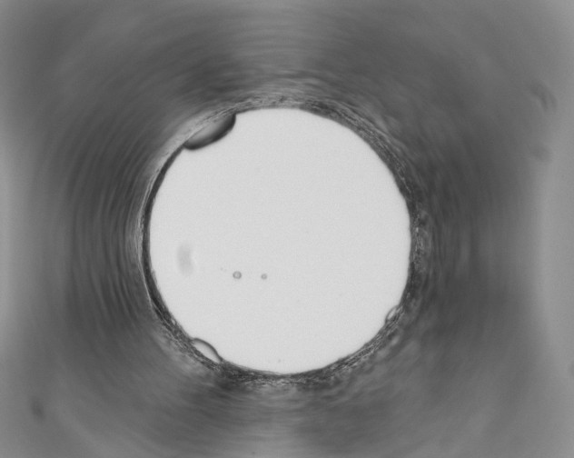 X0000110740100200907271110