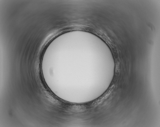 X0000110740101200907271110