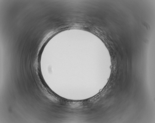 X0000110740102200907271110
