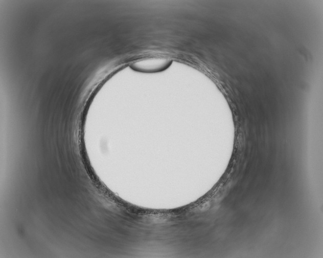 X0000110740103200907271110