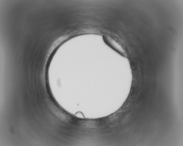X0000110740104200907271110