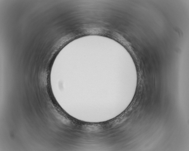X0000110740106200907271110