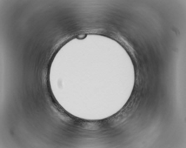 X0000110740107200907271110