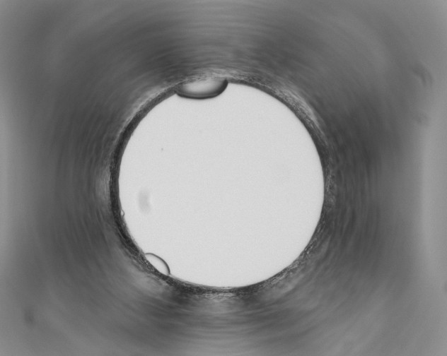 X0000110740108200907271110