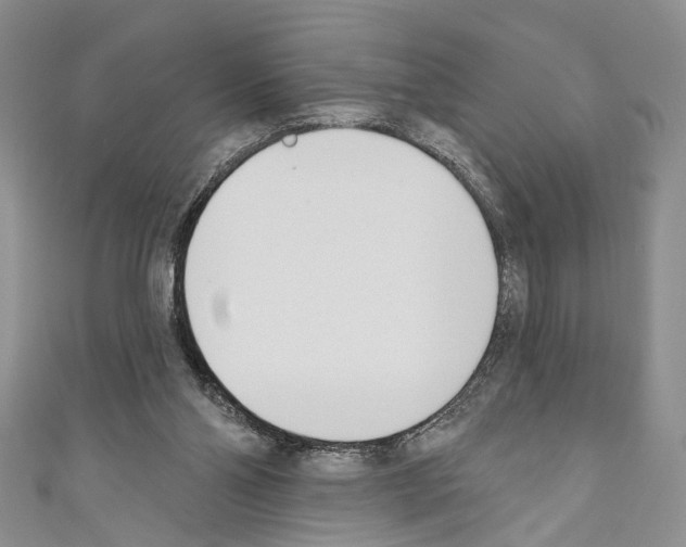 X0000110740110200907271110