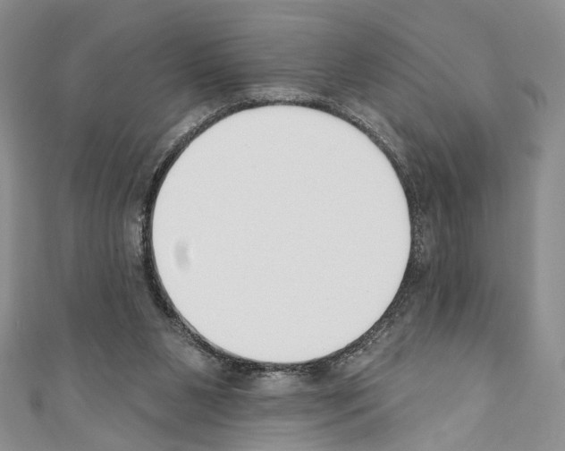 X0000110740111200907271110