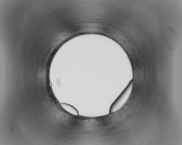 X0000110740112200907271110
