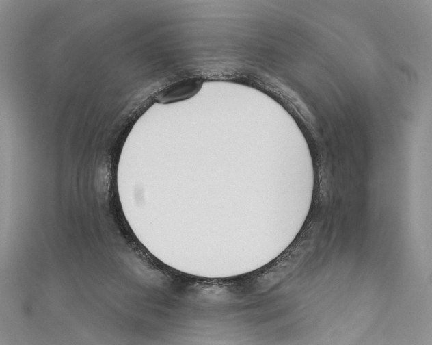 X0000110740113200907271110