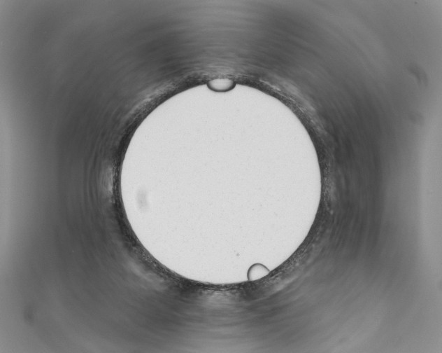 X0000110740115200907271110