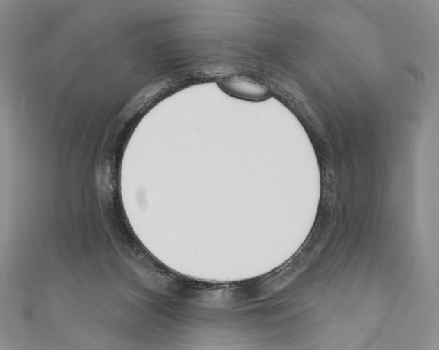 X0000110740116200907271110