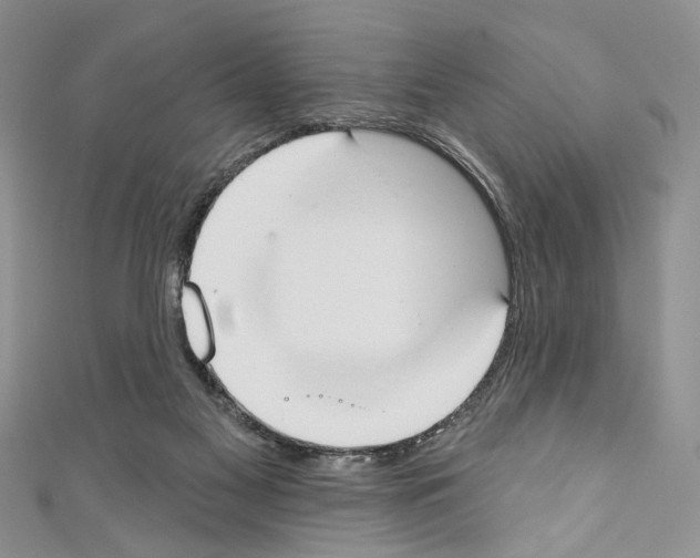 X0000110740117200907271110