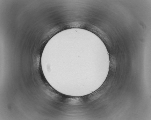 X0000110740118200907271110