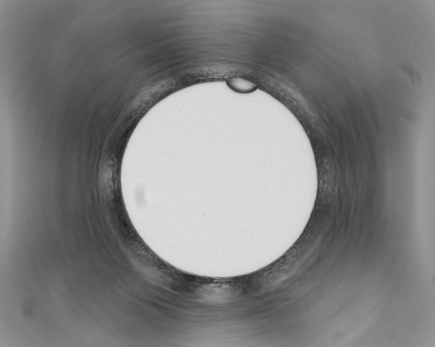 X0000110740119200907271110