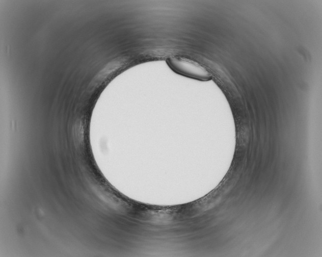 X0000110740120200907271110