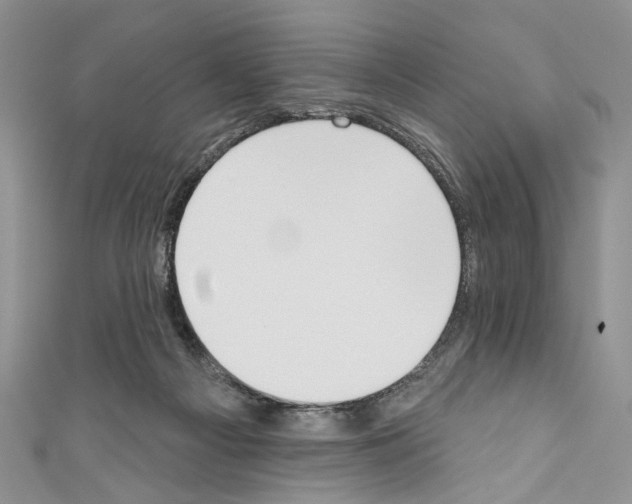 X0000110740121200907271110