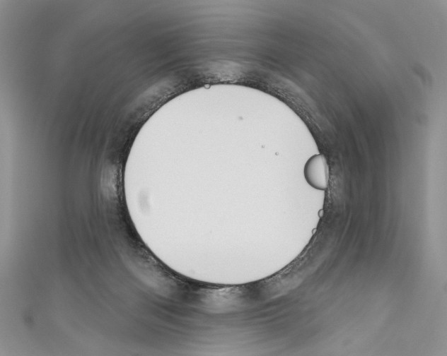 X0000110740122200907271110
