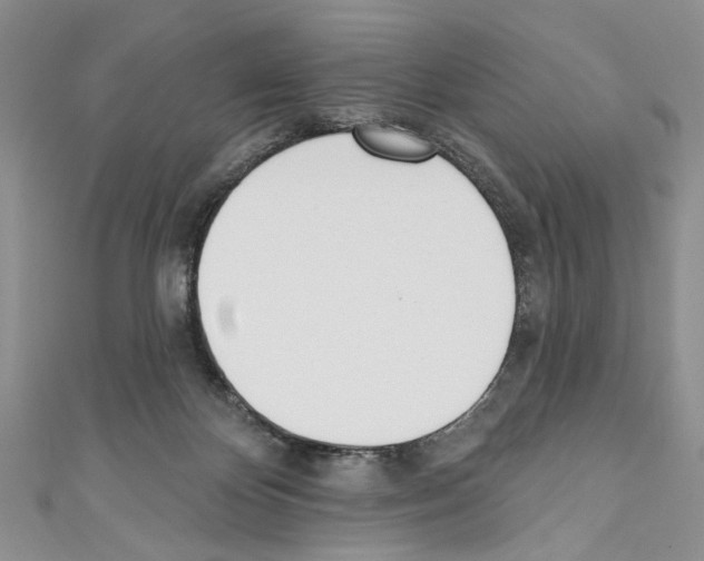 X0000110740124200907271110