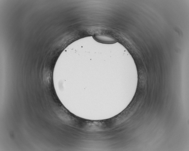 X0000110740125200907271110
