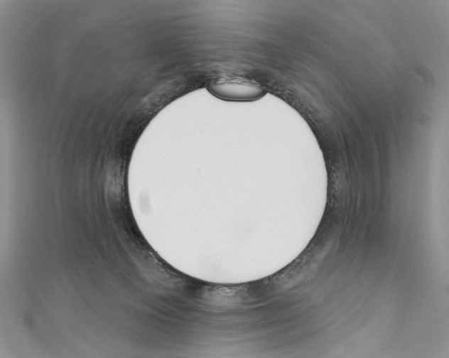 X0000110740129200907271110