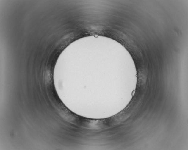 X0000110740130200907271110