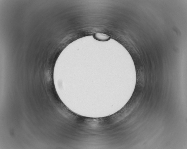 X0000110740131200907271109