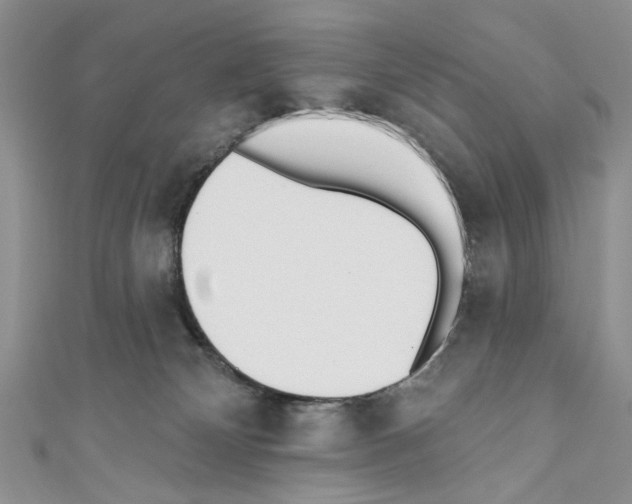 X0000110740132200907271109