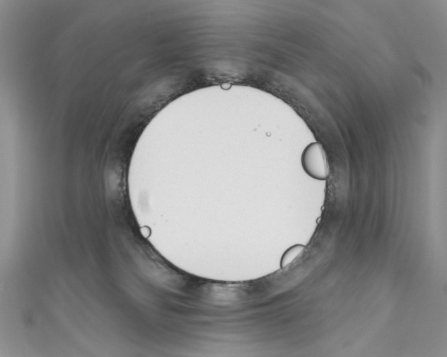 X0000110740134200907271109