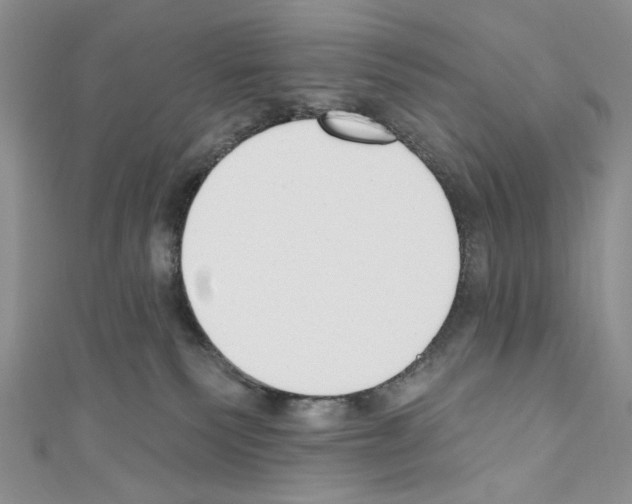X0000110740135200907271109