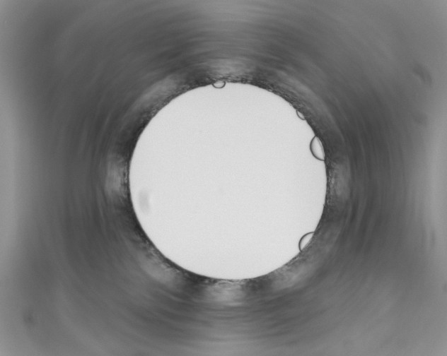 X0000110740138200907271109