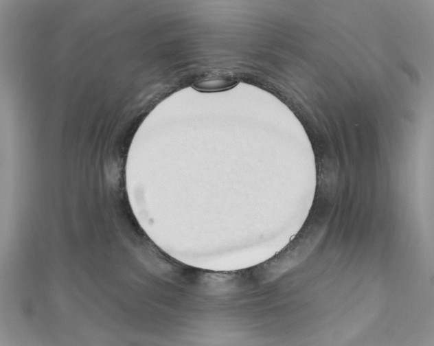 X0000110740139200907271109