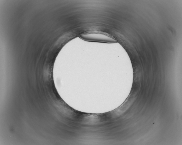 X0000110740140200907271109