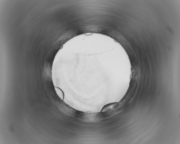 X0000110740143200907271109