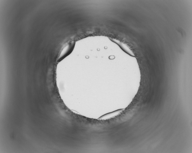 X0000110740144200907271109