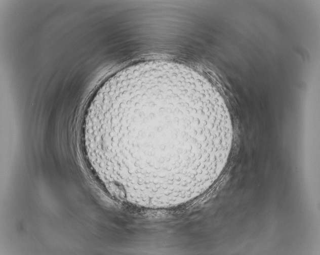 X0000110740145200907271109